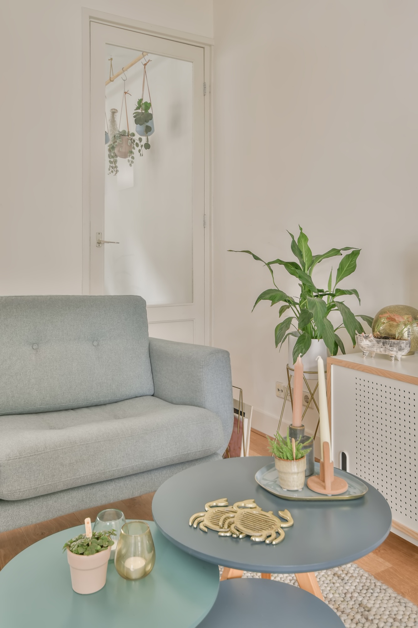 Home decoration using flowers, plants